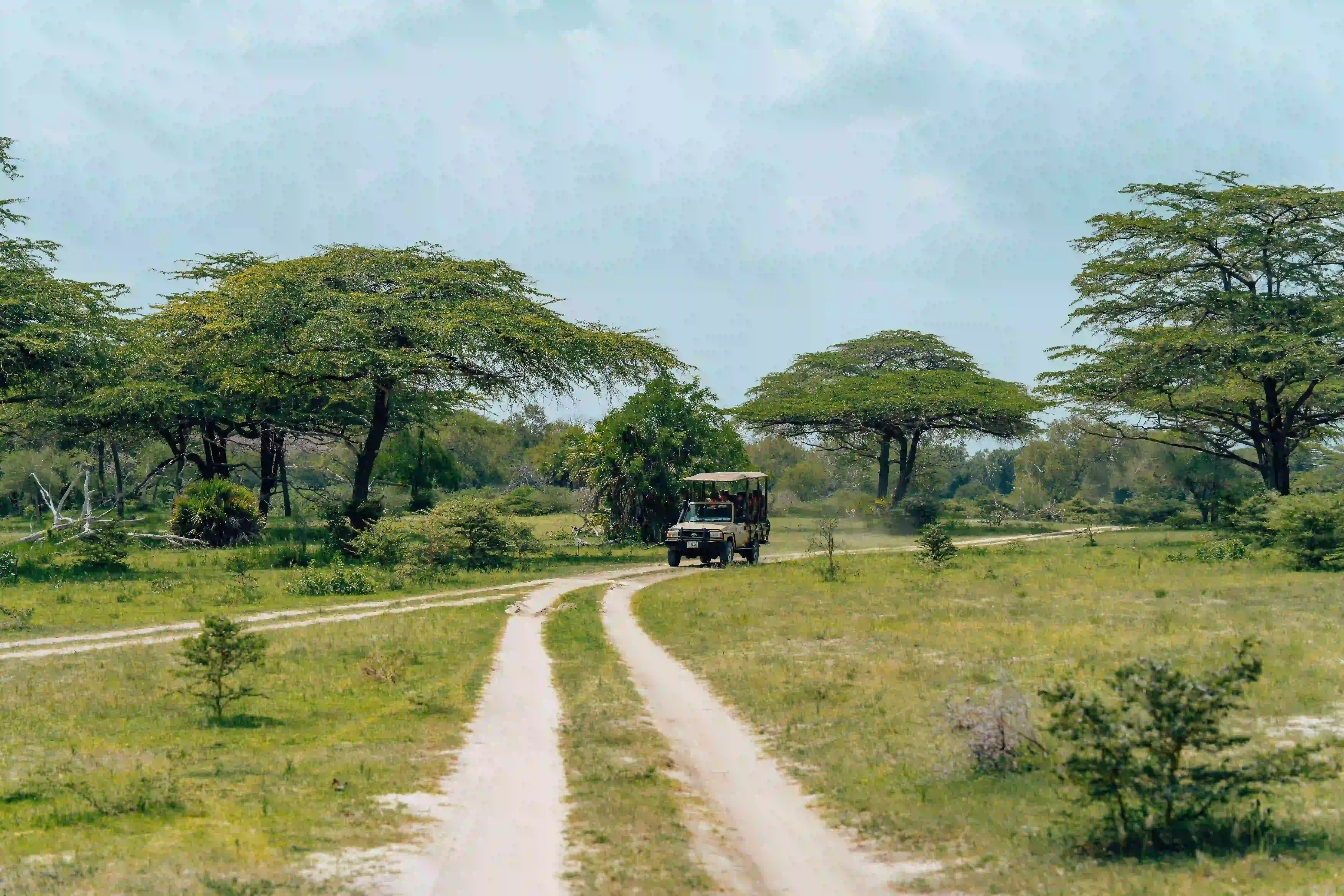 Northern Tanzania landscape