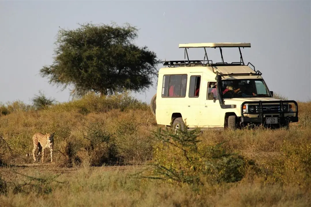 Tribe & Trails Safaris team at work in Arusha