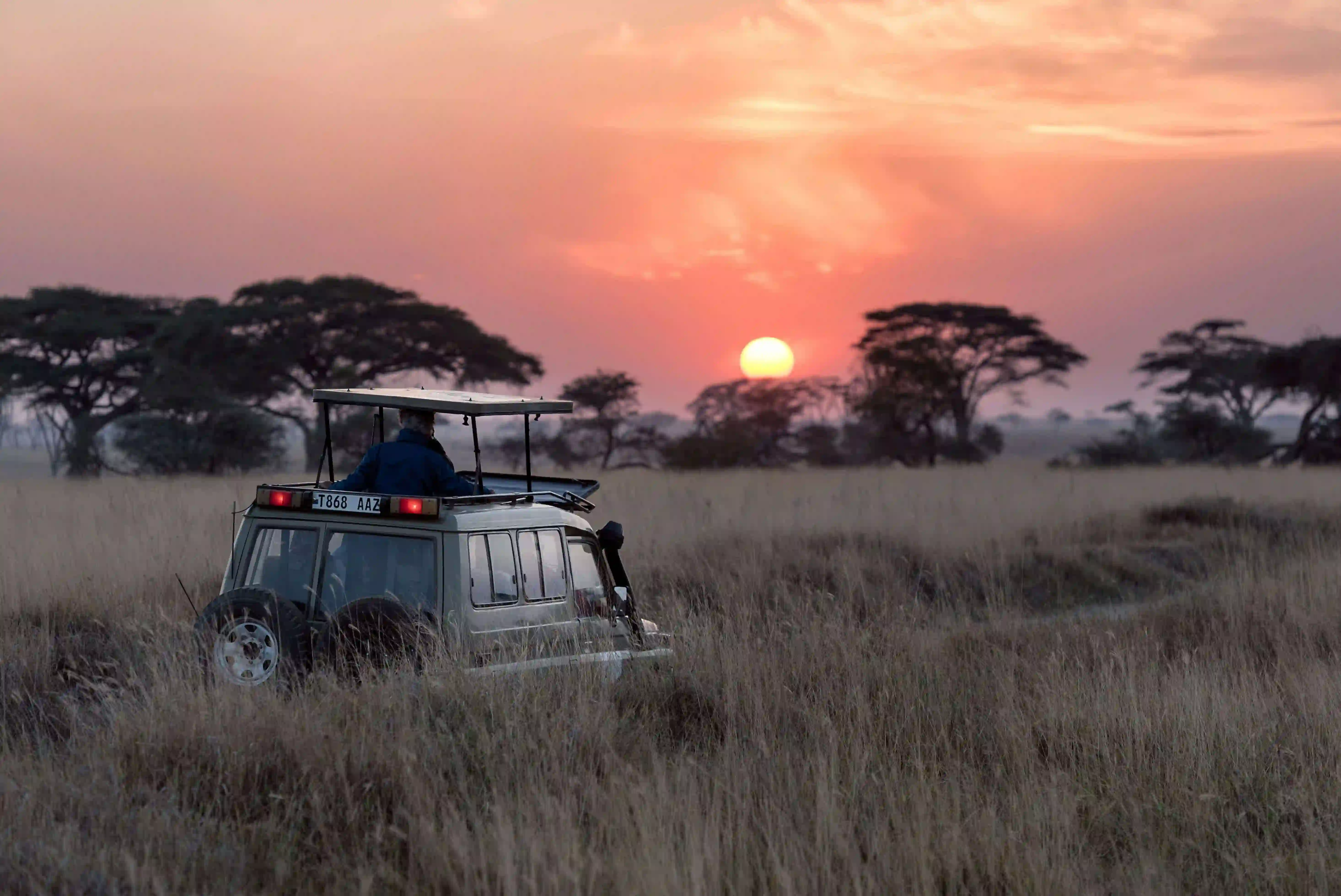 Safari vehicle on game drive route