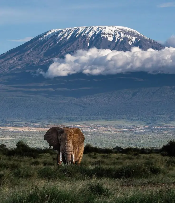 Snow-capped summit of Mount Kilimanjaro, Tanzania