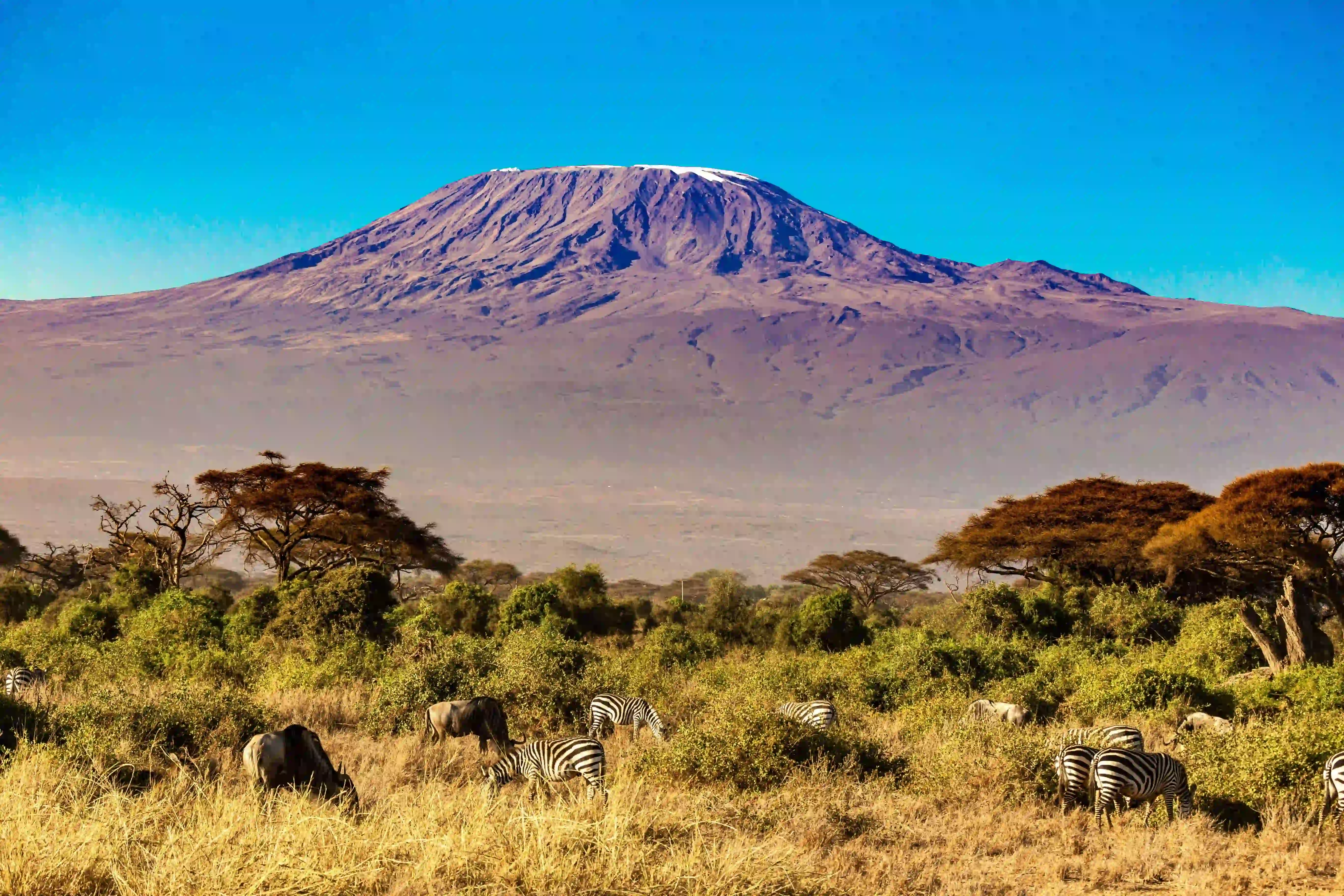 Mount Kilimanjaro summit view, Tanzania