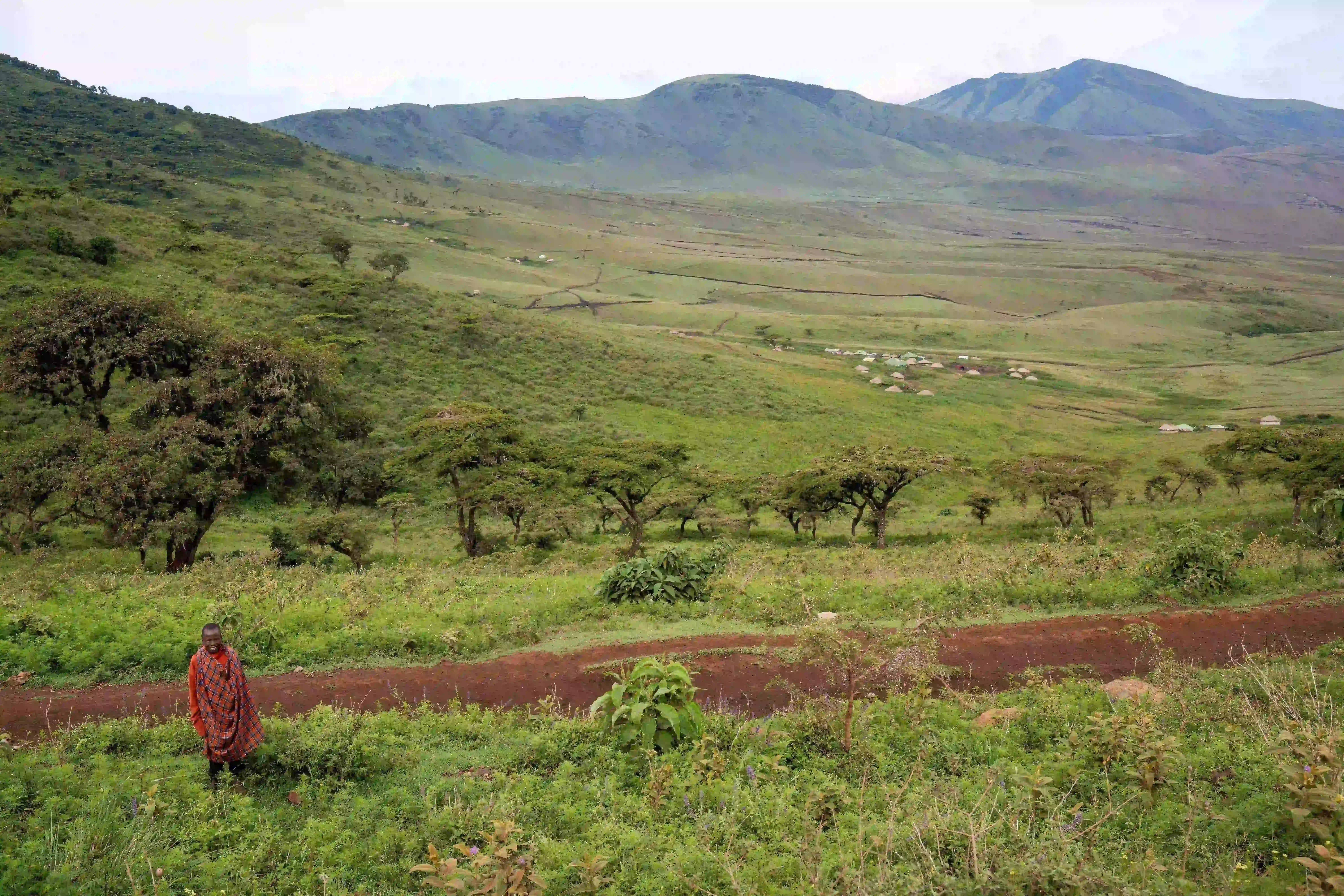 maasai warrior standing
