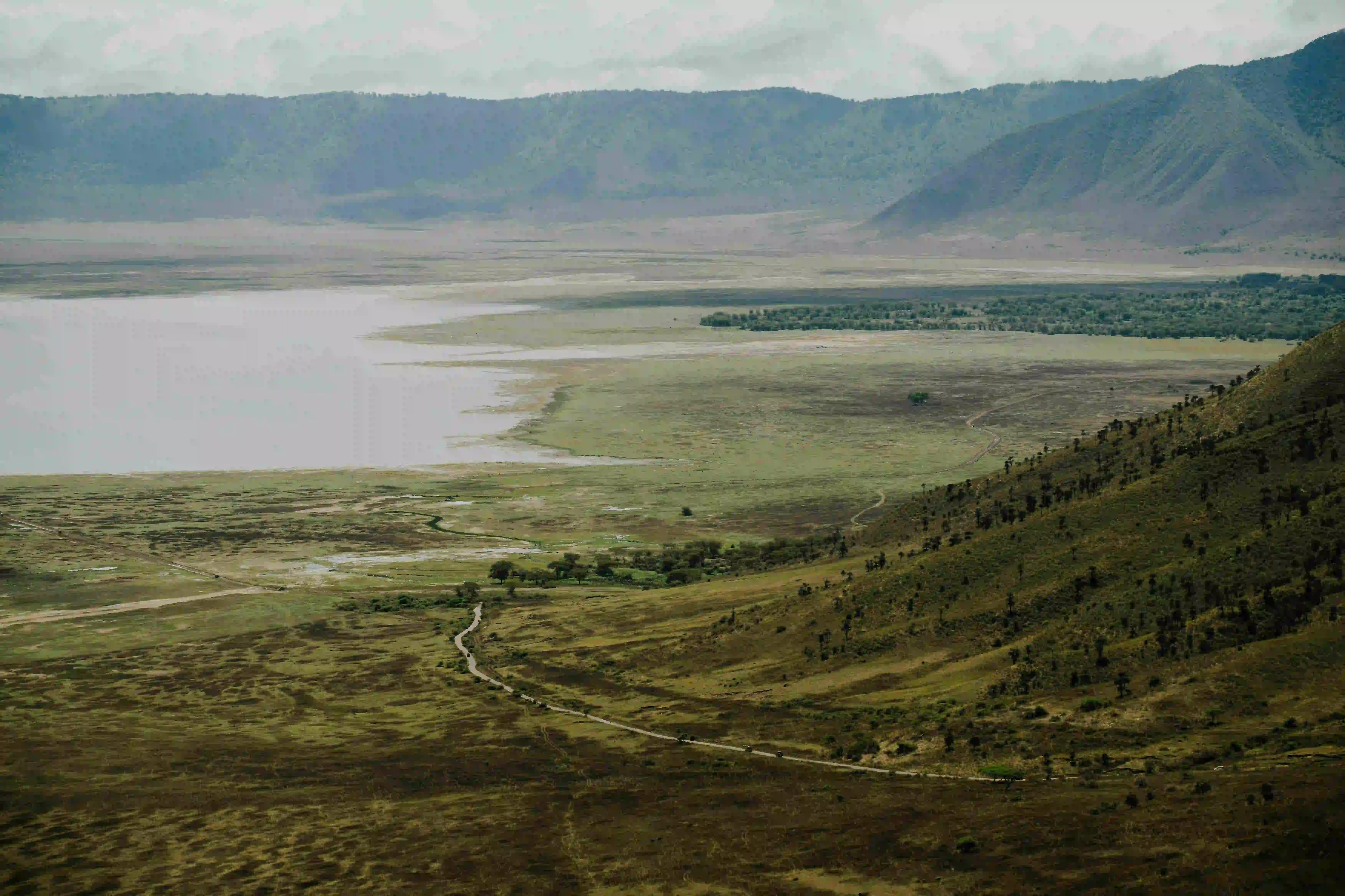 Wildlife on the floor of Ngorongoro Crater, Tanzania