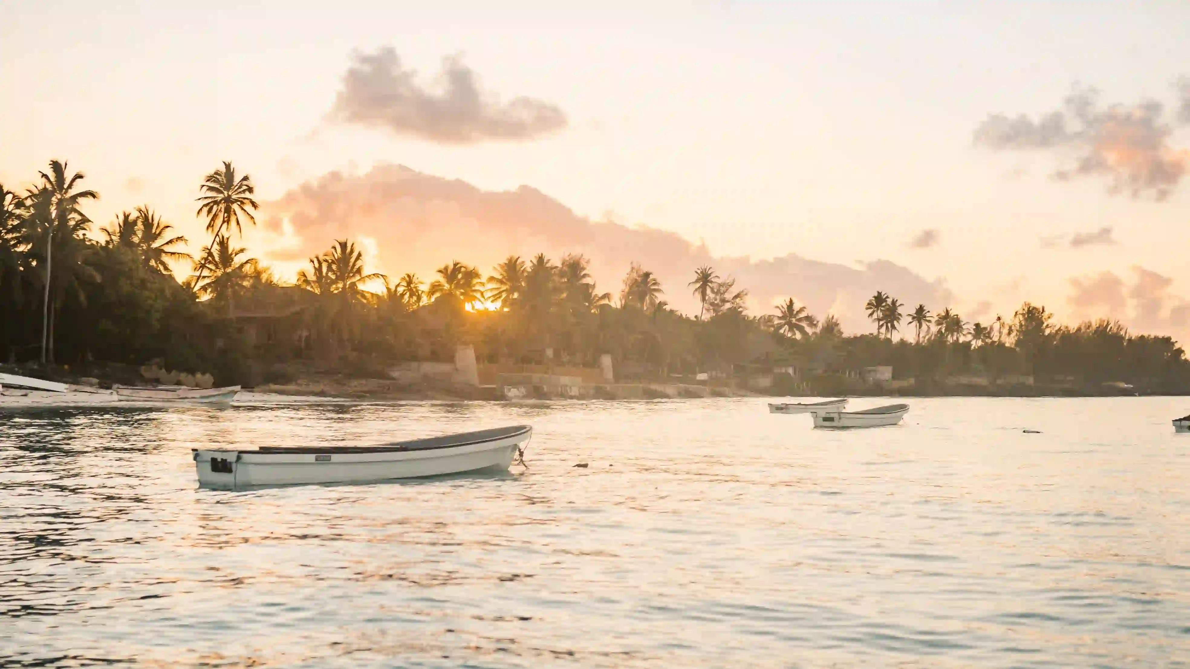 Zanzibar beach coastline at sunset