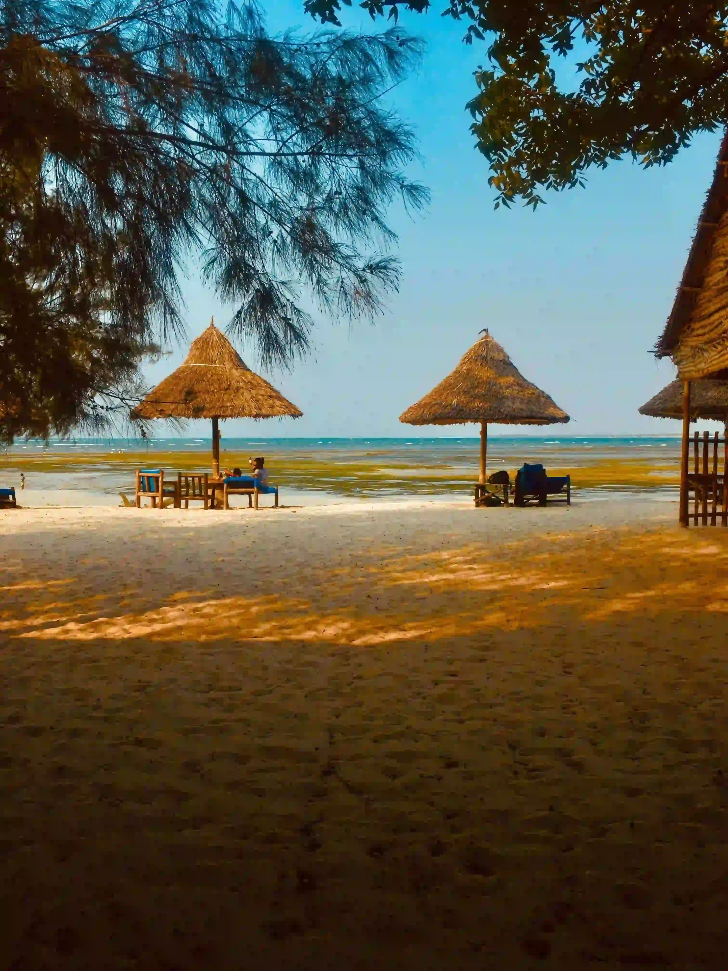 Beach in Zanzibar
